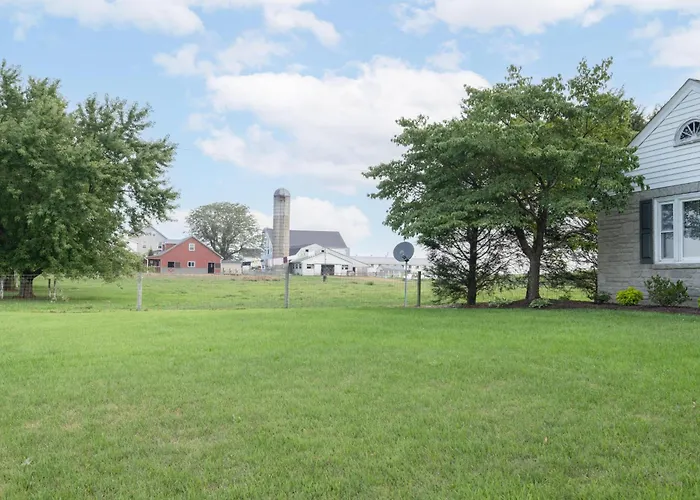 Meadowview Cottage